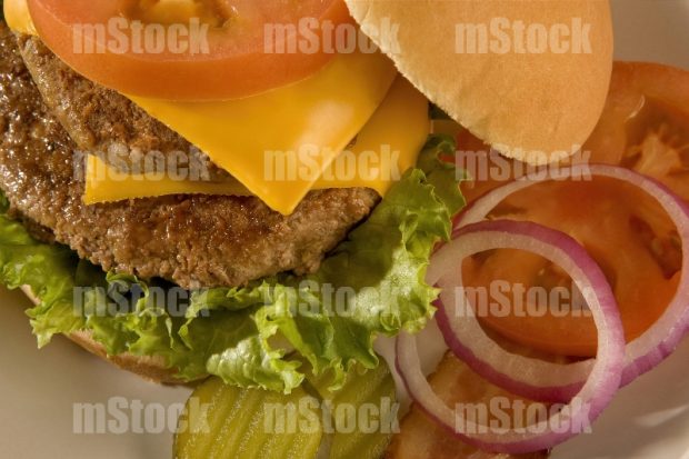 Hamburguesa casera con doble carne
