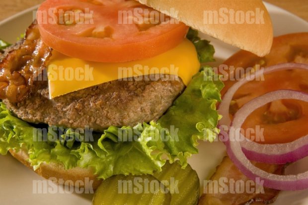 Hamburguesa casera con queso