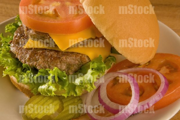 Hamburguesa casera doble carne