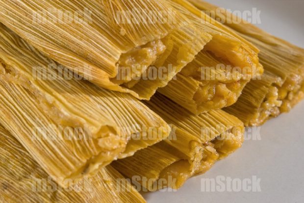 Tamales de carne