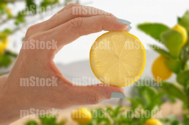 Idea Fresca