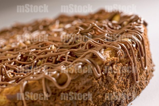 Cheesecake Tortuga