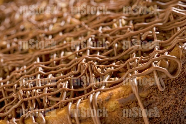 Pastel de tortuga