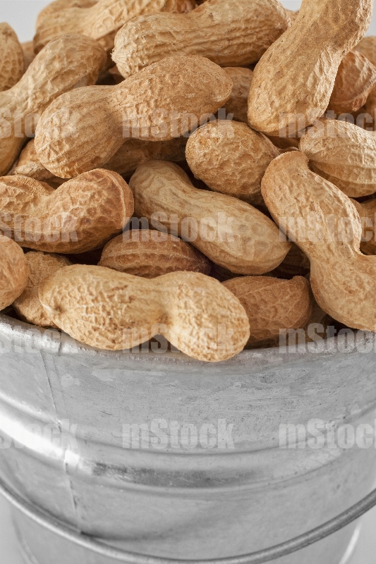 Maní con cáscara