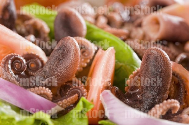 Ensalada de Pulpo Fresco