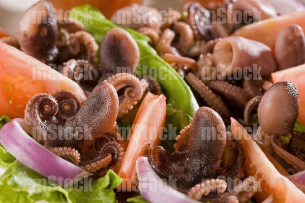 Ensalada de Pulpo