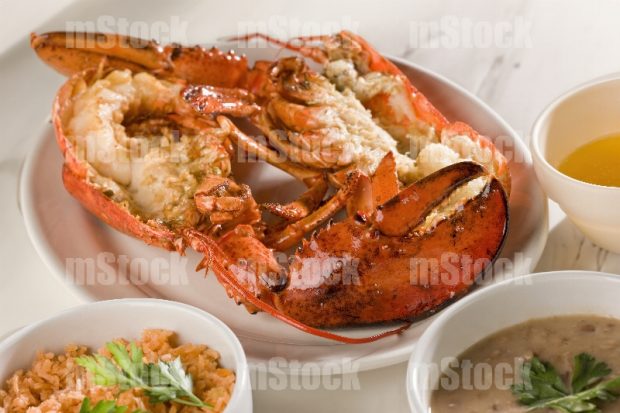 Langosta