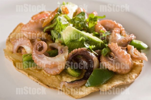 Tostada de Pulpo fresco