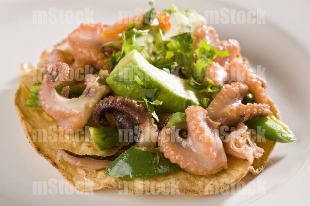 Tostada de Pulpo