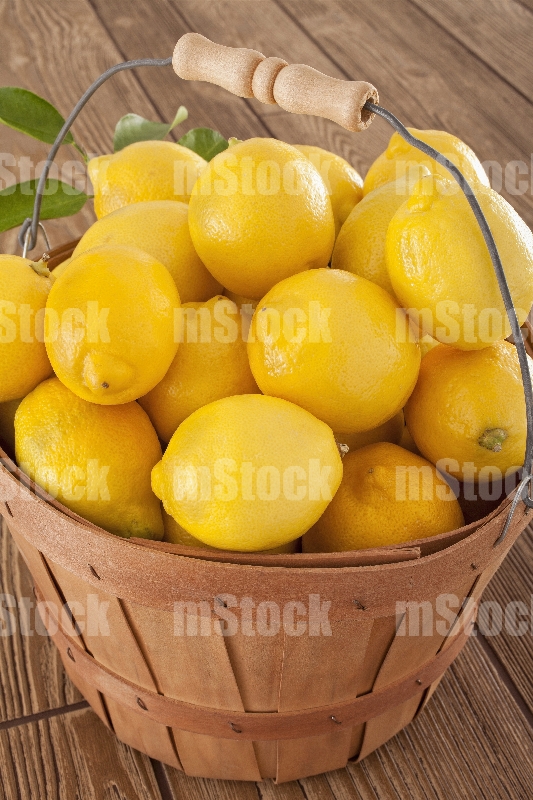Limones Eureka vertical