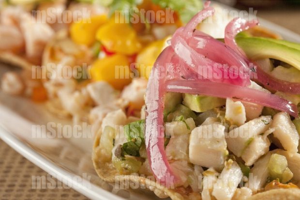 Tostadas de Ceviche de Pescado surtidas