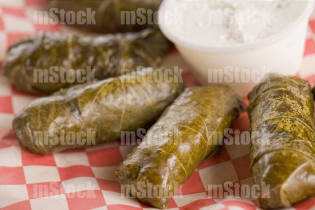 Hojas de Parra y jocoque