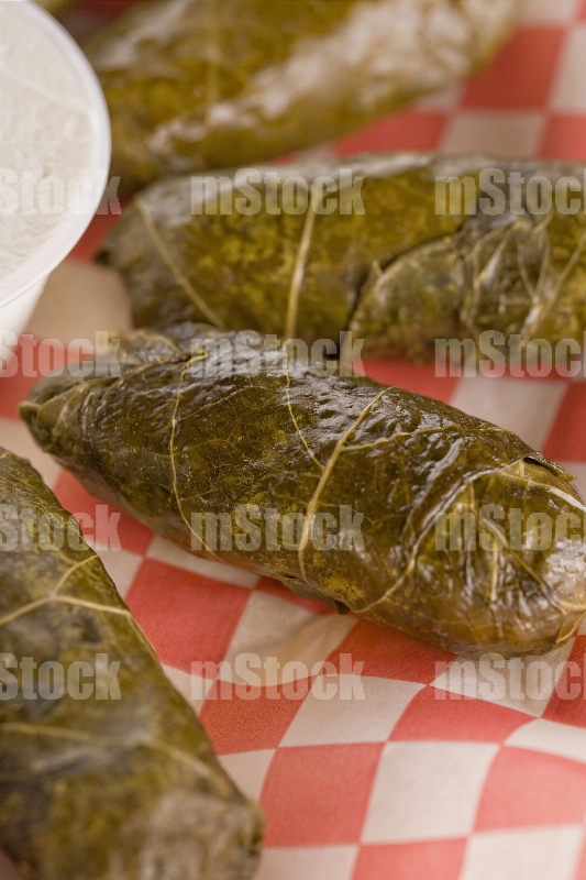 Hojas de Parra