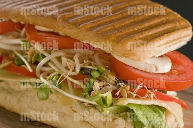 Panini Vegetariano Gourmet