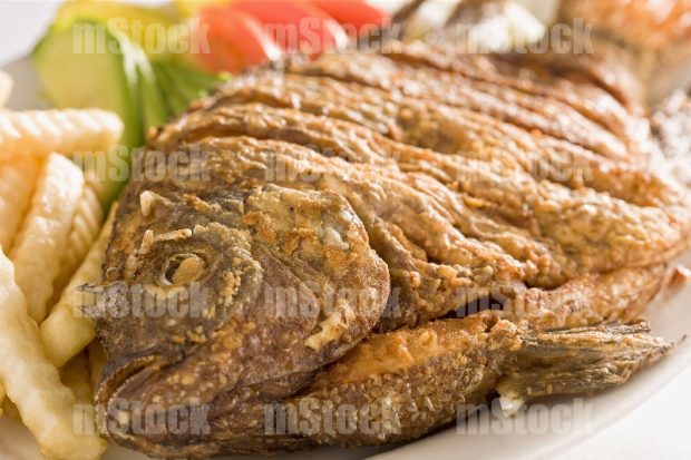 Pescado frito empanizado