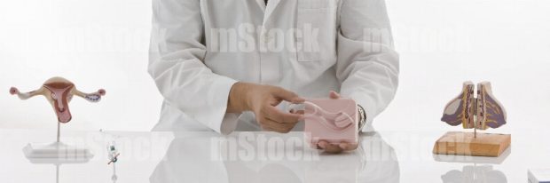 Ginecólogo mostrando Diu y Anillo