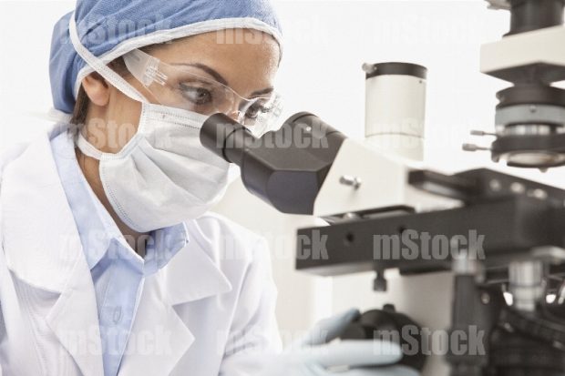 Médico usando Microscopio Metalográfico