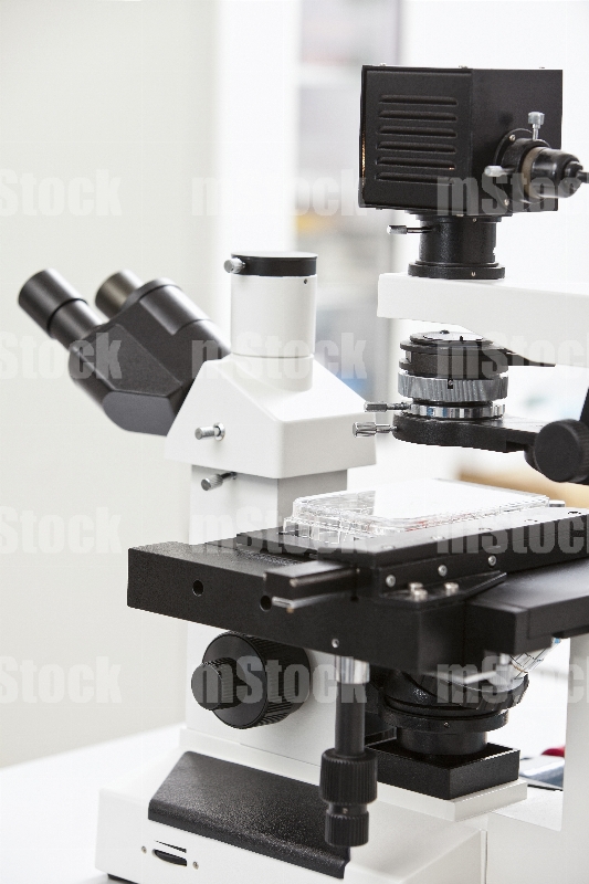 Microscopio metalográfico trinocular