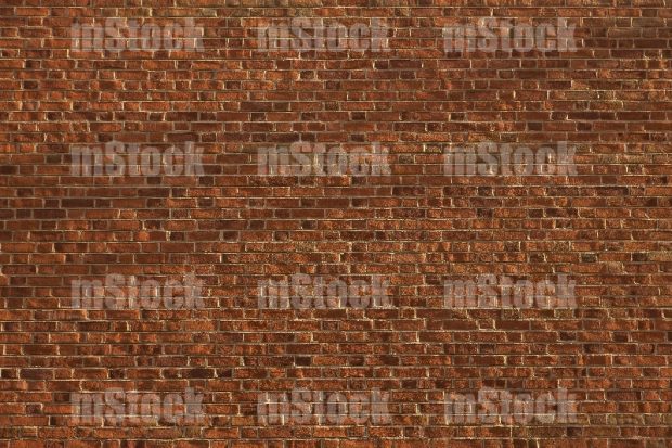 Muro de Tabique rojo