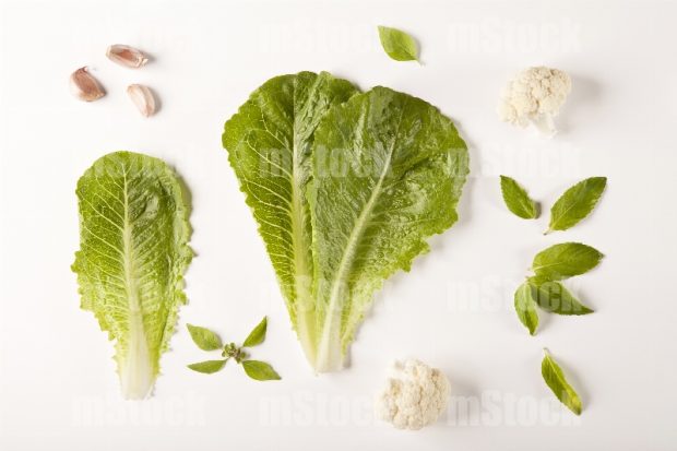 Albahaca, Hierbabuena, Lechuga, Ajos y Coliflor