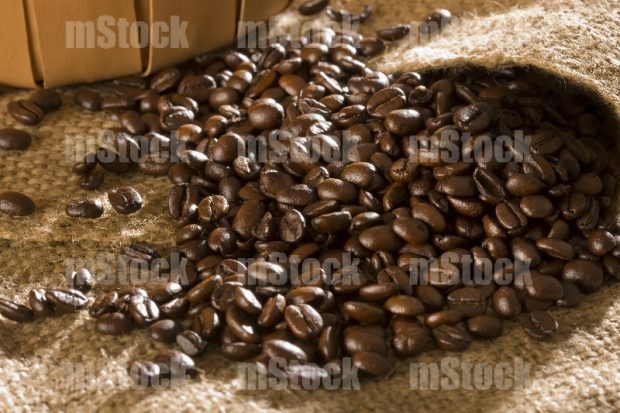 Grano de Café