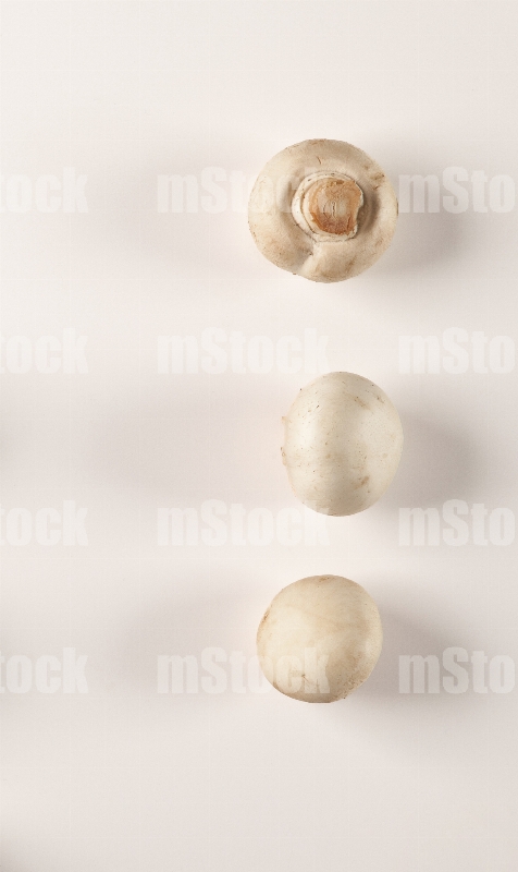 Champiñones