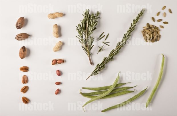 Nueces, cacahuates, semillas, hierbas y verduras