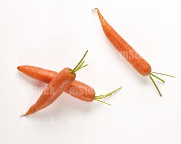 Zanahorias frescas