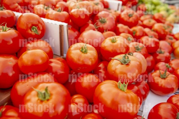 Tomate orgánico