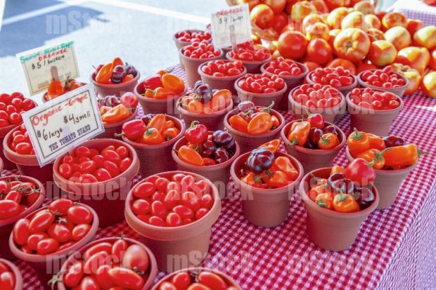 Tomates orgánicos