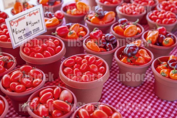 Tomate uva orgánico