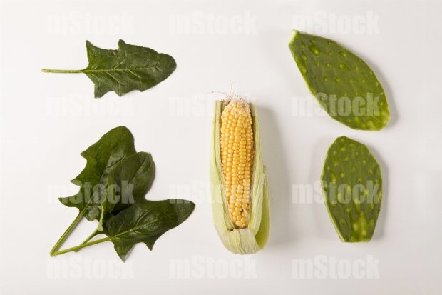 Verduras frescas