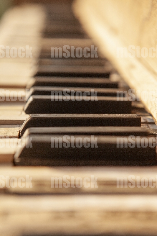 Teclas de piano antiguo