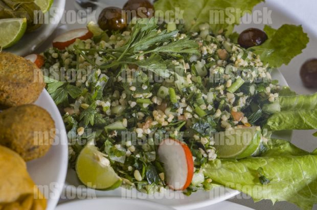 Comida Libanesa 11
