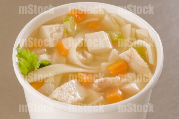 Sopa de tallarines con pollo 2