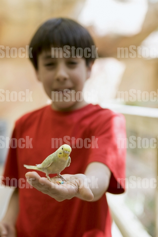 Niño Visita Aviario