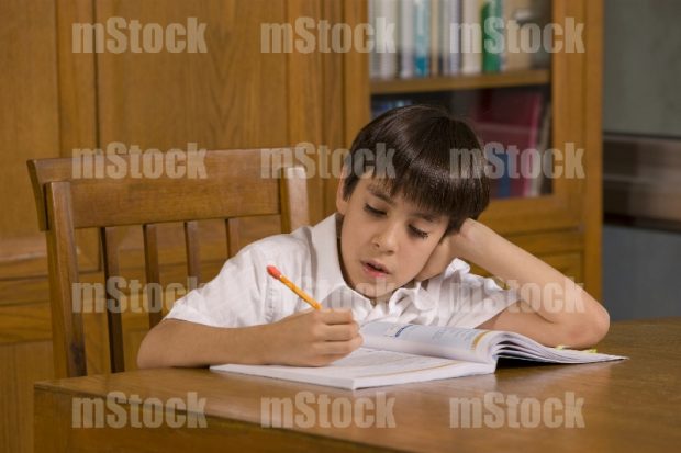 Ventajas del Homeschooling