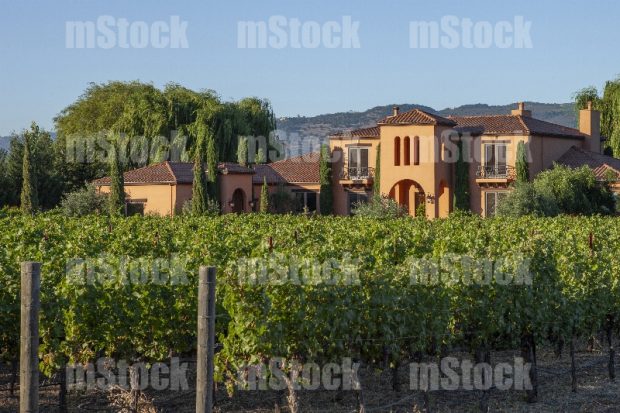 Casa en Viñedo
