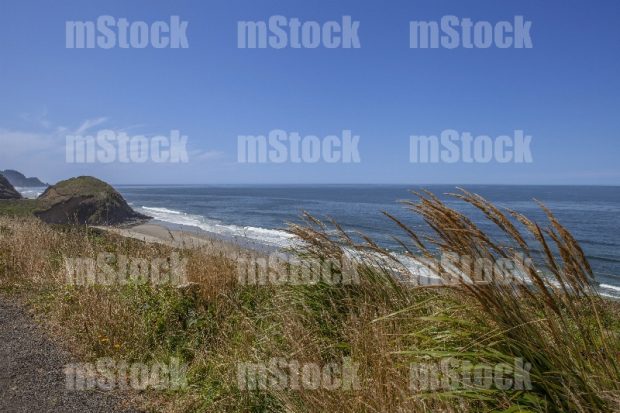 Paisaje en Oregon