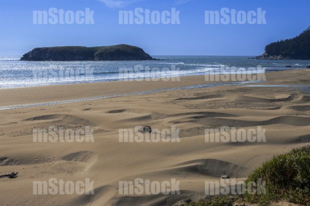 Playa de Oregon USA