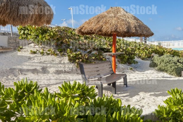 Palapa de playa