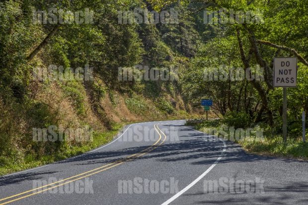 California Mountain Road
