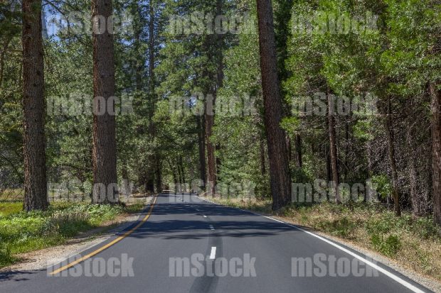 Yosemite National Park Route
