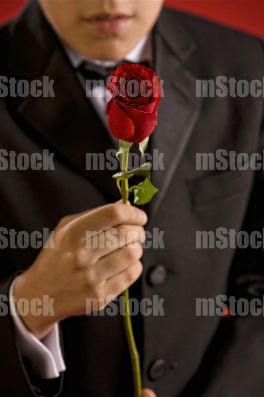 Obsequiando Rosa