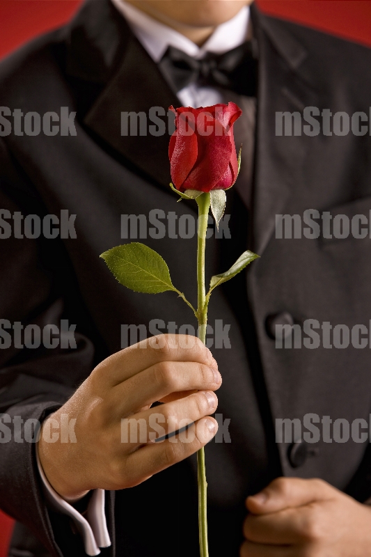 Obsequiando Flor