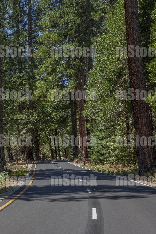 Yosemite National Park Road