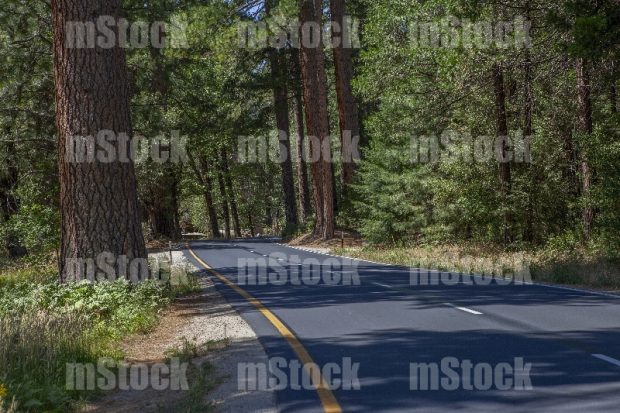Yosemite National Park Drive