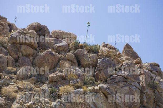 La Rumorosa, Tecate Baja California 5