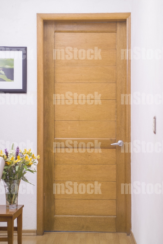 Puerta de Madera 2