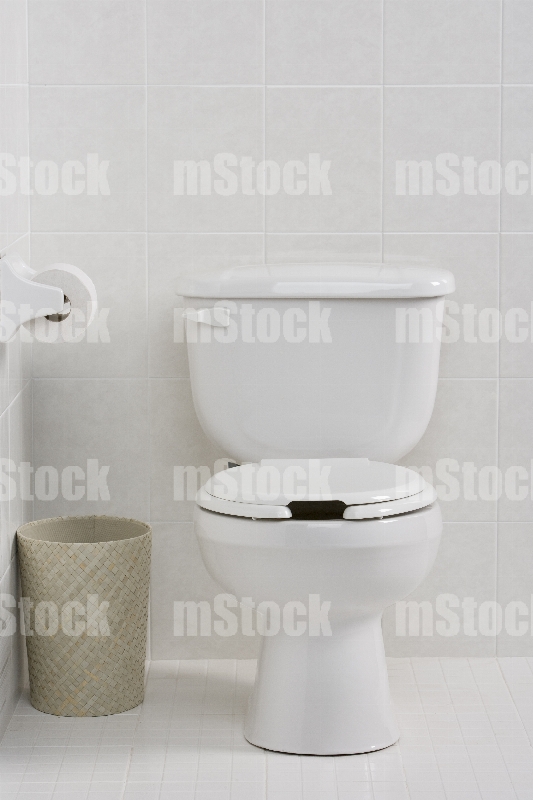 Sanitario 11